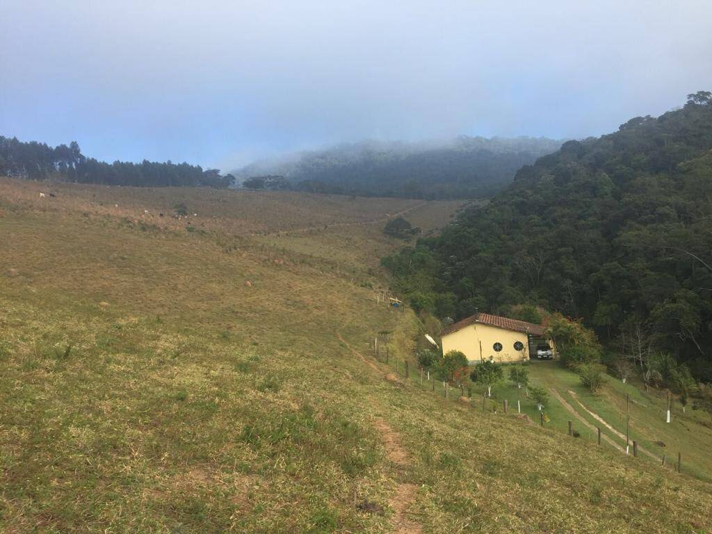 Fazenda à venda com 5 quartos, 200000m² - Foto 10