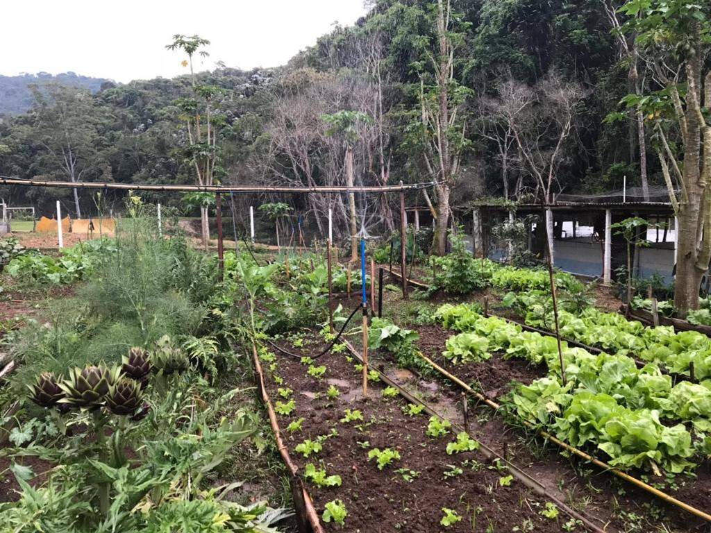 Fazenda à venda com 5 quartos, 200000m² - Foto 16