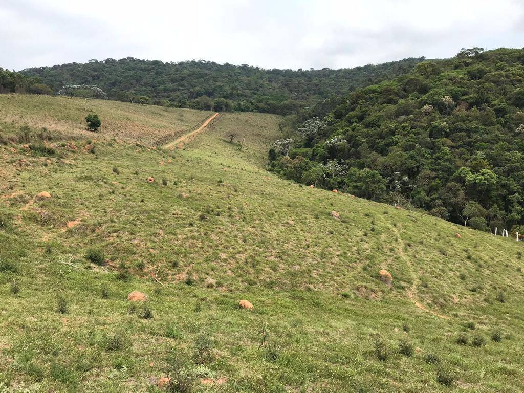 Fazenda à venda com 5 quartos, 200000m² - Foto 14