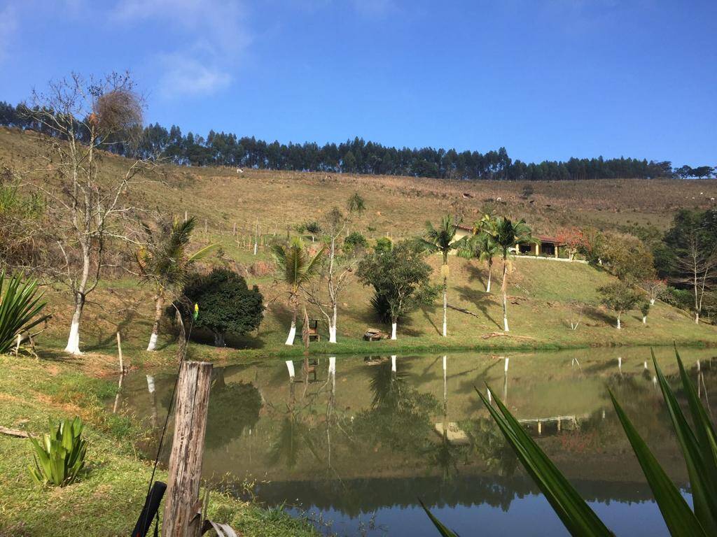 Fazenda à venda com 5 quartos, 200000m² - Foto 15