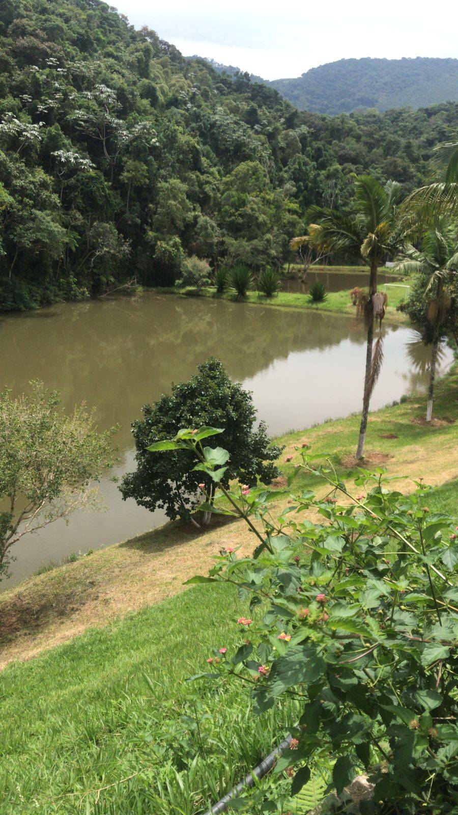 Fazenda à venda com 5 quartos, 200000m² - Foto 19