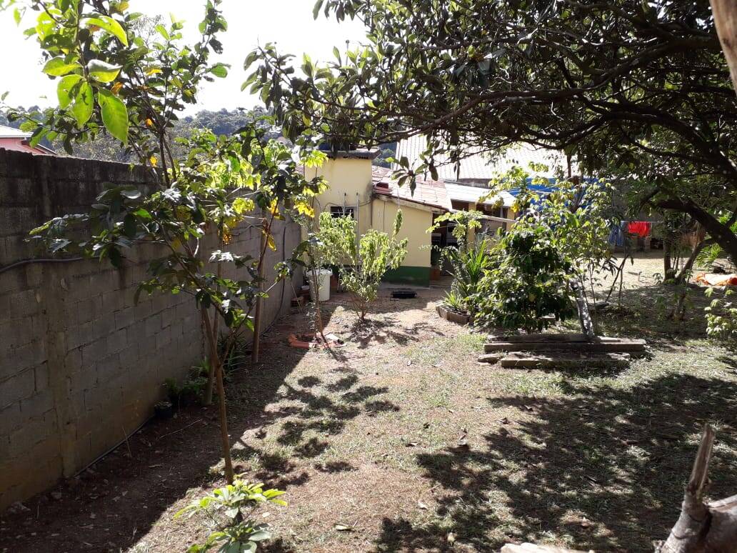 Fazenda à venda com 2 quartos, 800m² - Foto 5