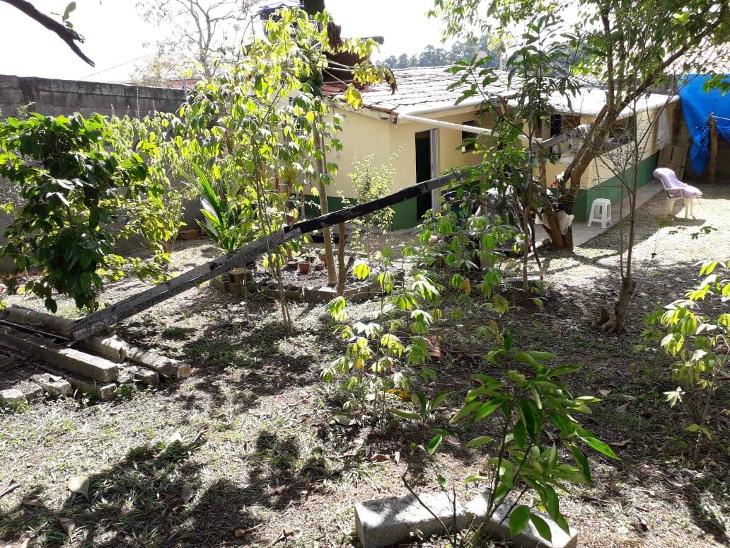 Fazenda à venda com 2 quartos, 800m² - Foto 2