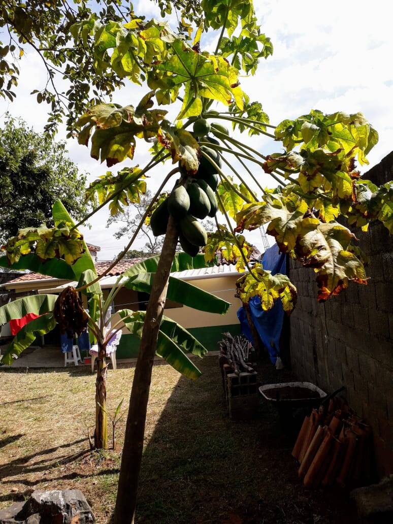 Fazenda à venda com 2 quartos, 800m² - Foto 16