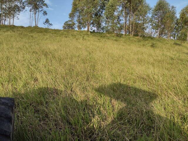 #TR03 - Sítio para Venda em Piracaia - SP