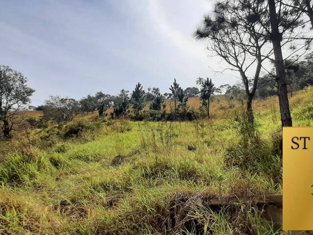 #ST21 - Sítio para Venda em Atibaia - SP