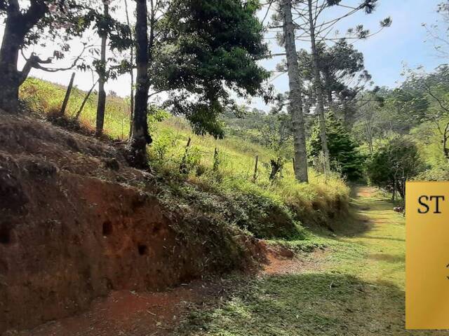 #ST21 - Sítio para Venda em Atibaia - SP