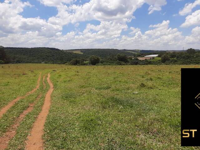 #ST29 - Sítio para Venda em Atibaia - SP