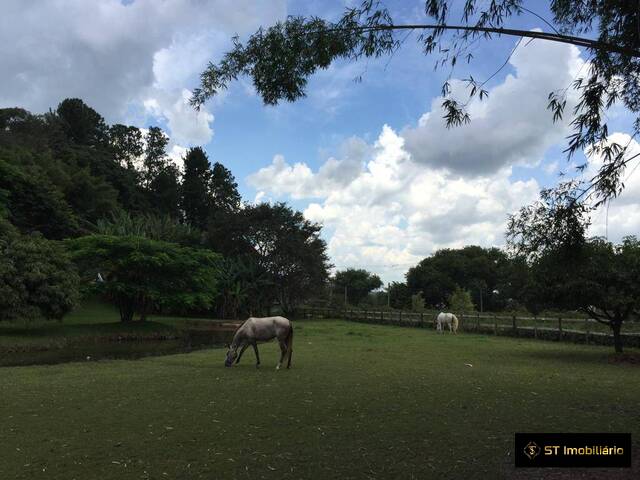 #ST33 - Haras para Venda em Atibaia - SP