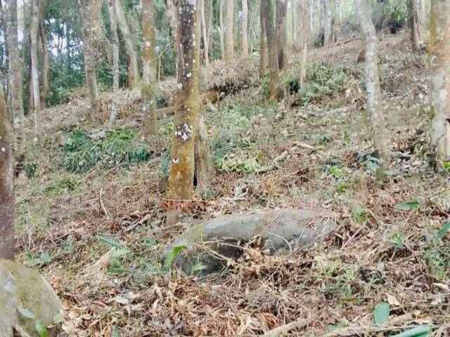 Venda em Jundiaizinho (Terra Preta) - Mairiporã