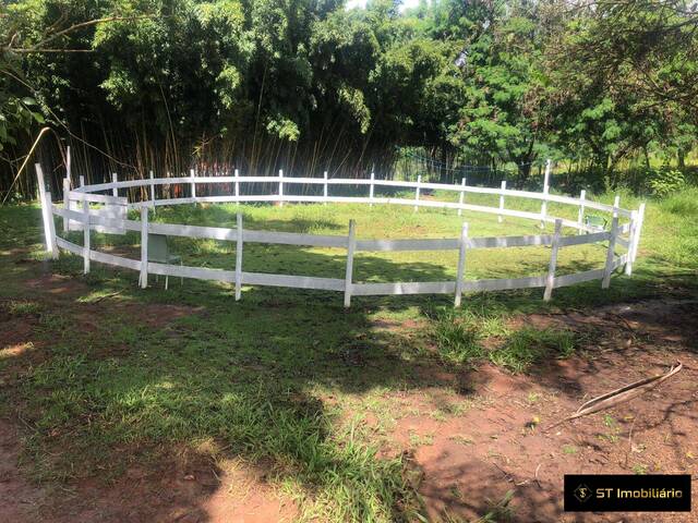 #ST56 - Haras para Venda em Atibaia - SP