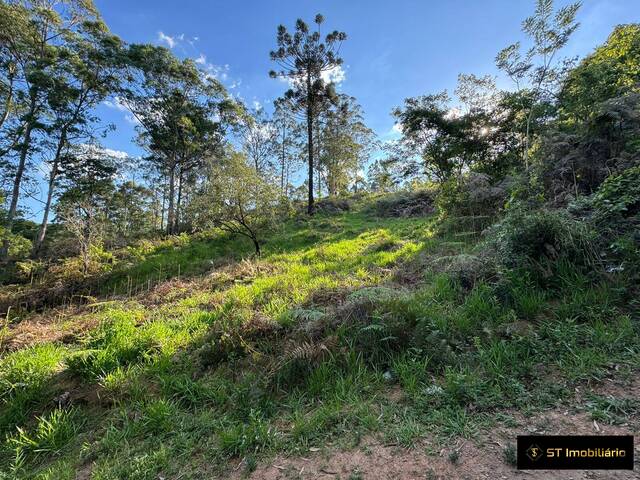 #TR81 - Terreno para Venda em Mairiporã - SP