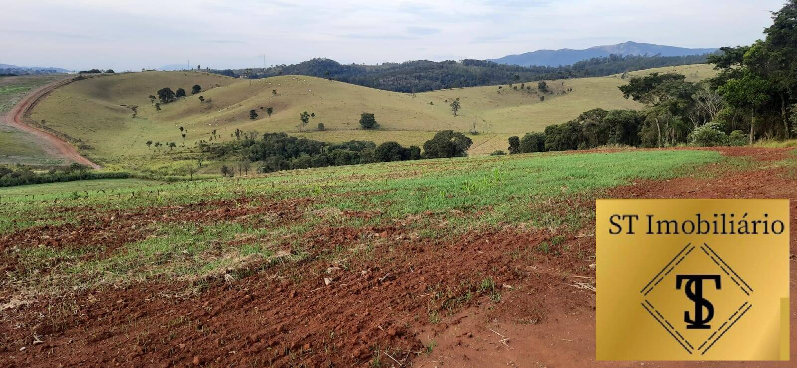 Terreno à venda, 24m² - Foto 4