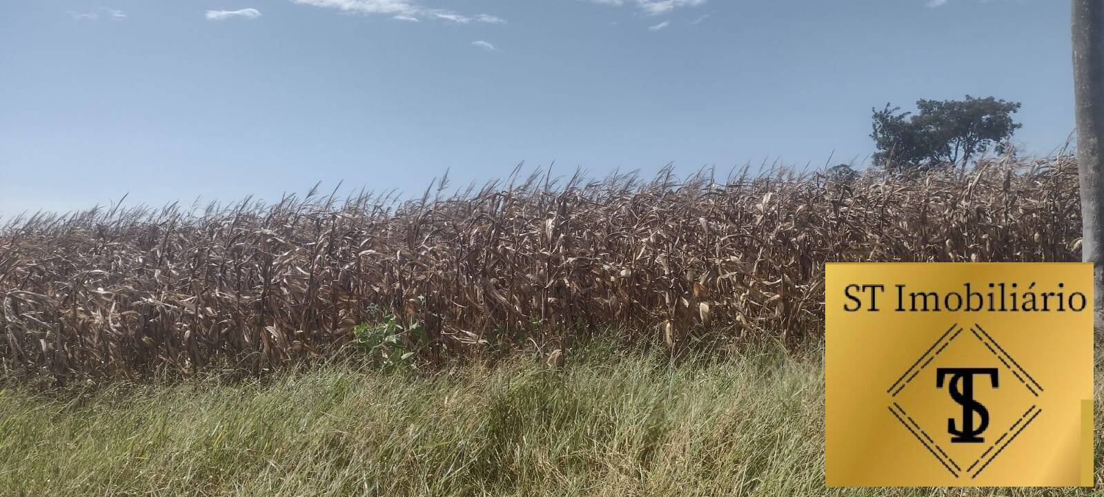 Terreno à venda, 40000m² - Foto 9