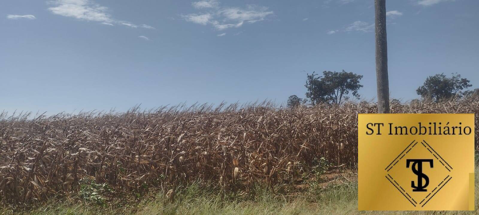 Terreno à venda, 40000m² - Foto 11