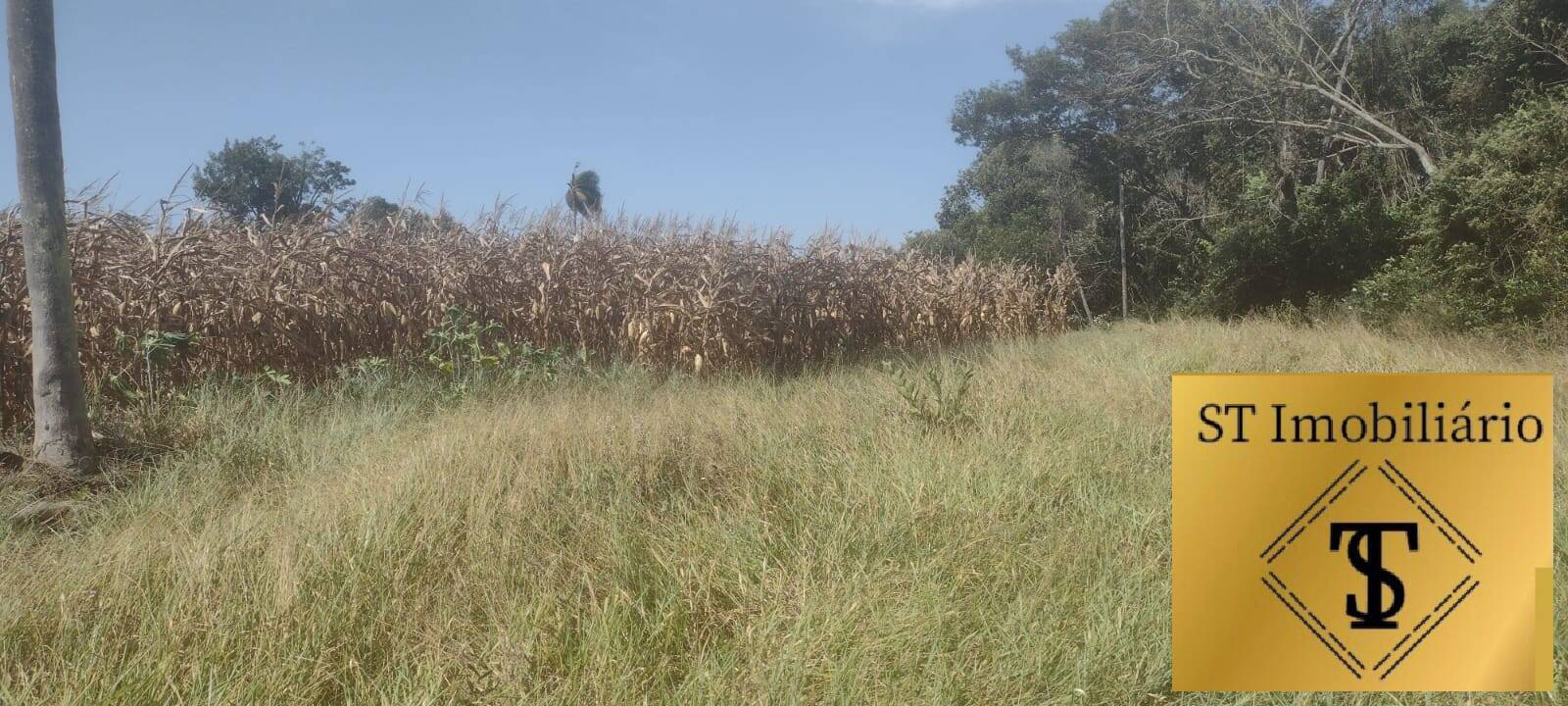 Terreno à venda, 40000m² - Foto 16