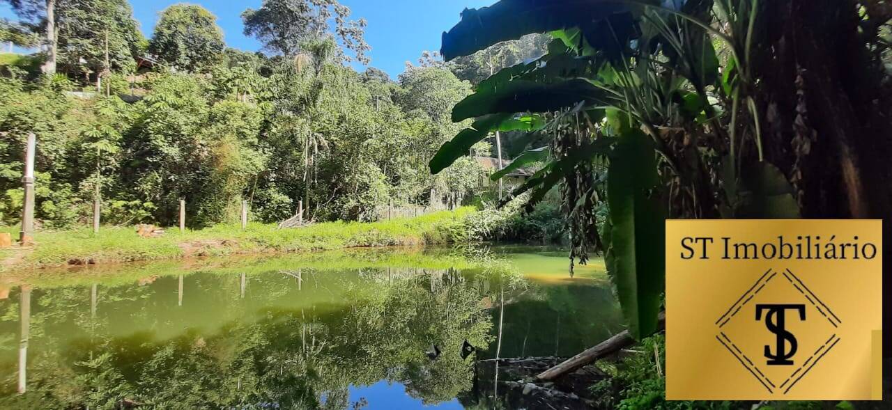 Terreno à venda com 2 quartos, 14000m² - Foto 4