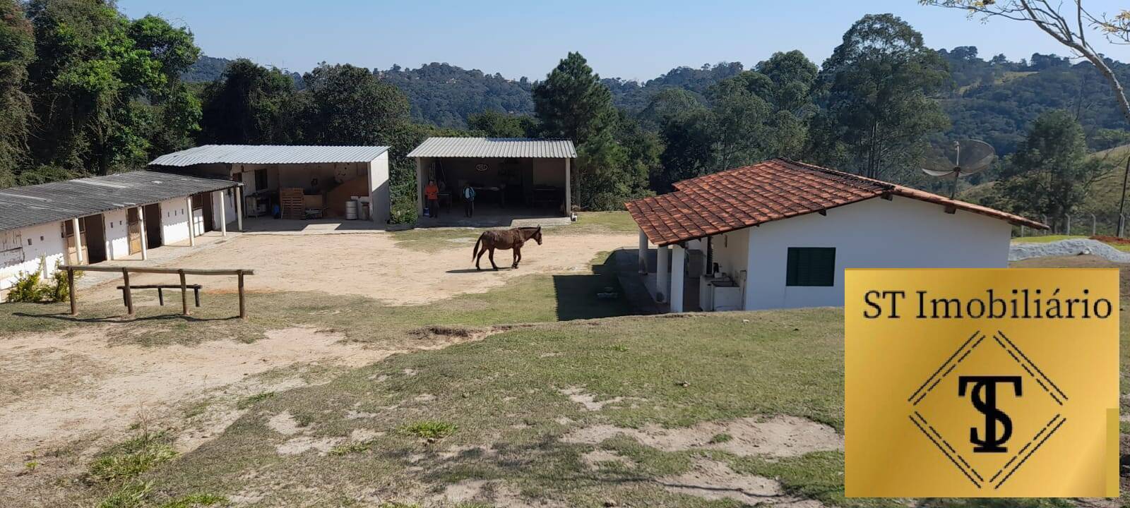 Fazenda à venda com 3 quartos, 17000m² - Foto 2