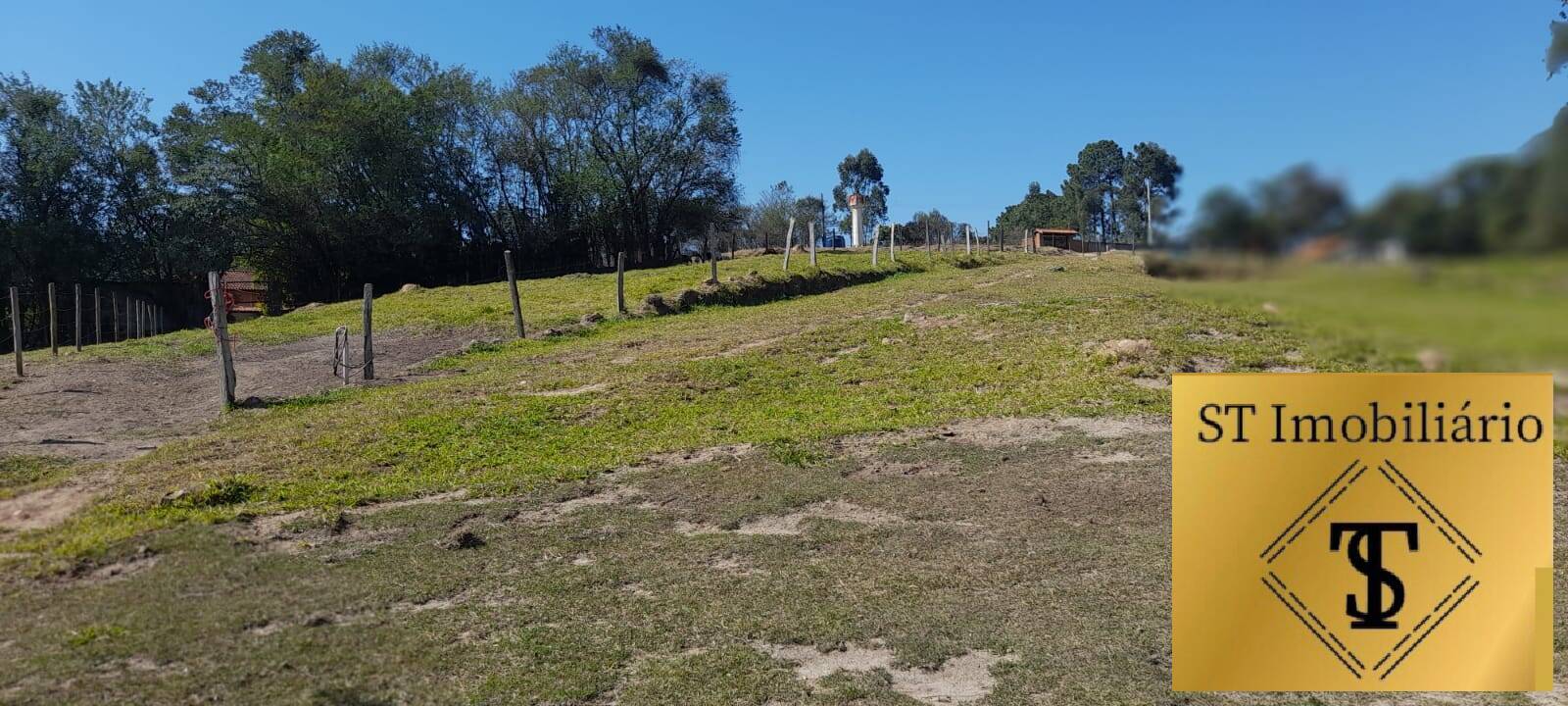 Fazenda à venda com 3 quartos, 17000m² - Foto 6