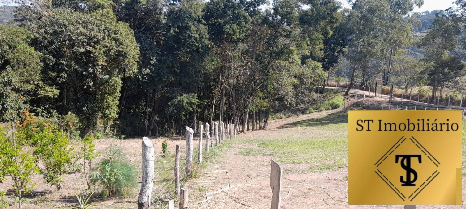 Fazenda à venda com 3 quartos, 17000m² - Foto 5