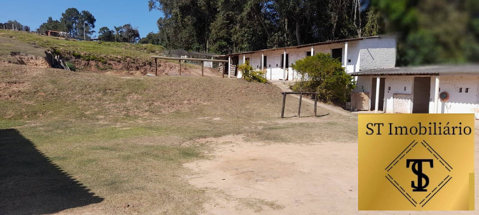 Fazenda à venda com 3 quartos, 17000m² - Foto 11