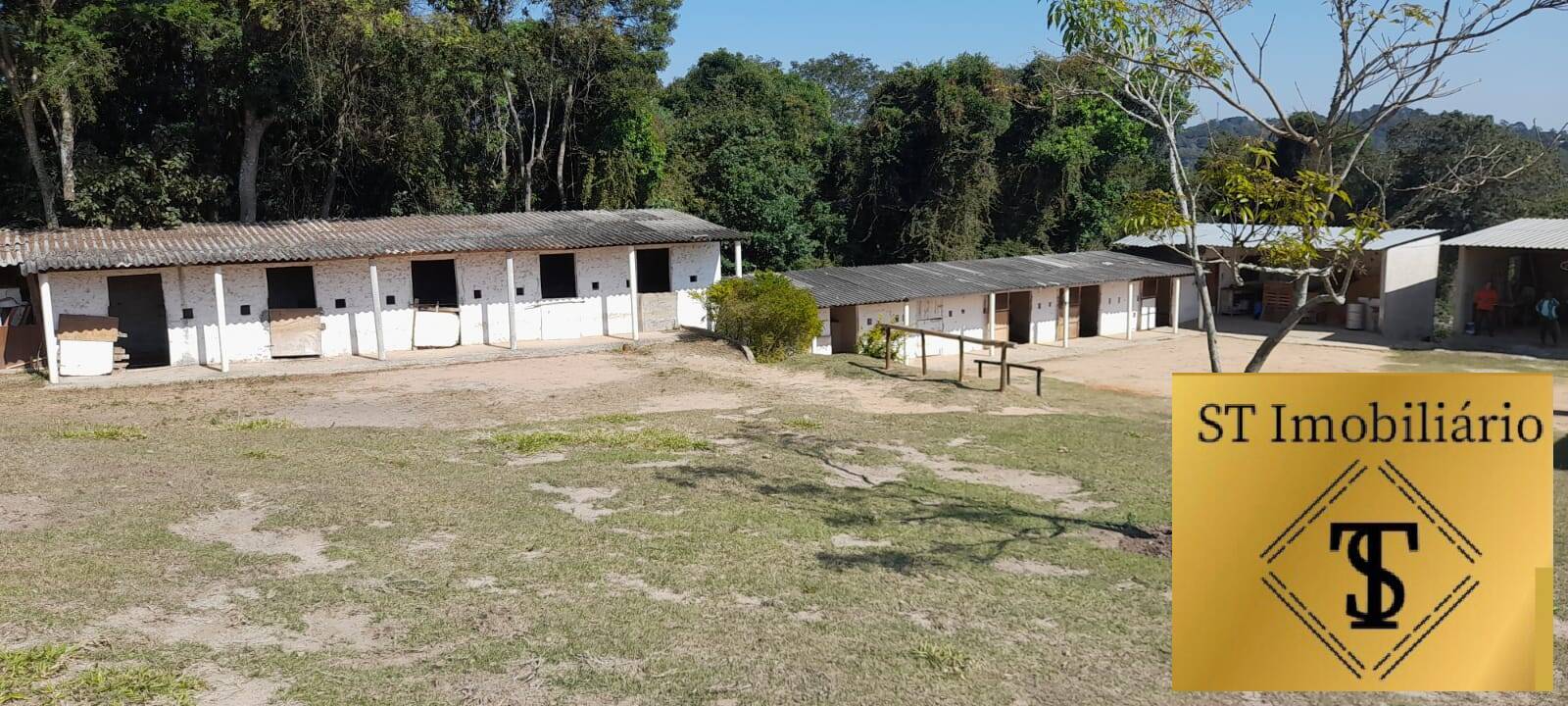 Fazenda à venda com 3 quartos, 17000m² - Foto 10