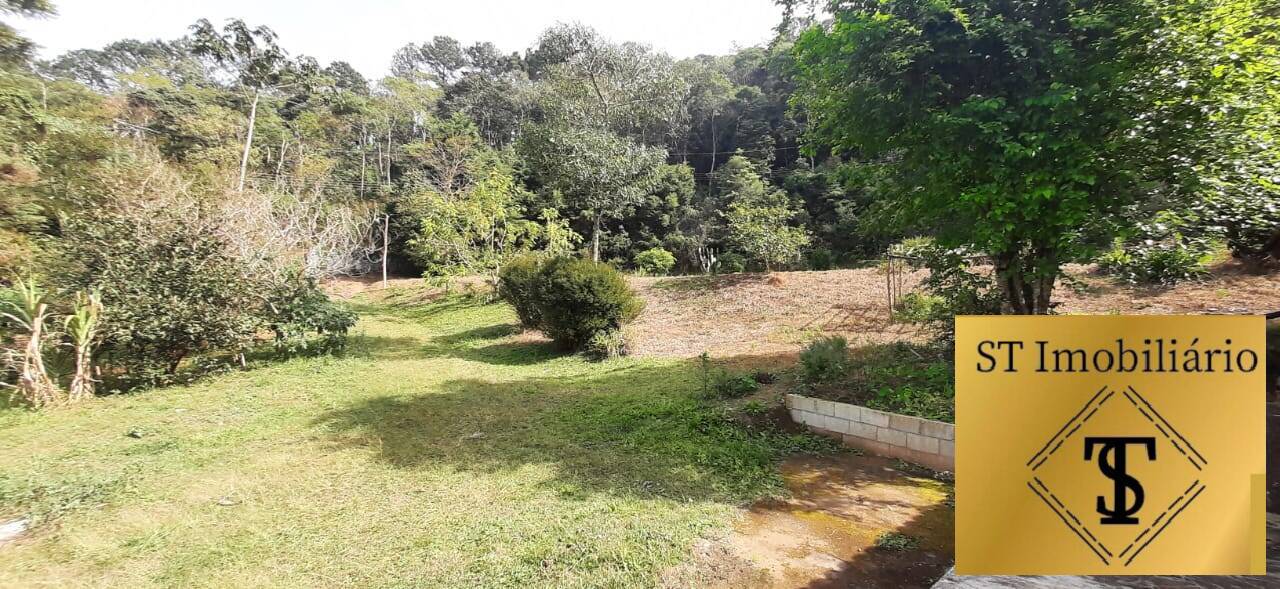 Fazenda à venda com 6 quartos, 4300m² - Foto 6