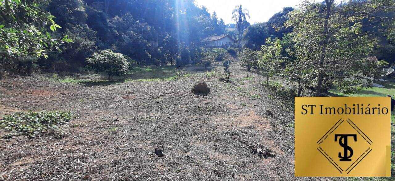 Fazenda à venda com 6 quartos, 4300m² - Foto 7