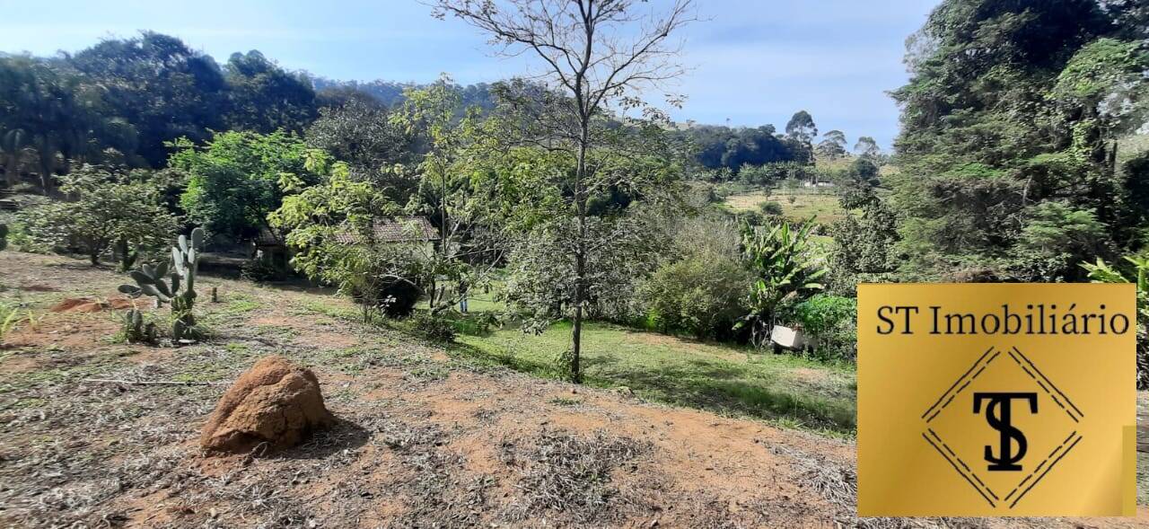 Fazenda à venda com 6 quartos, 4300m² - Foto 19