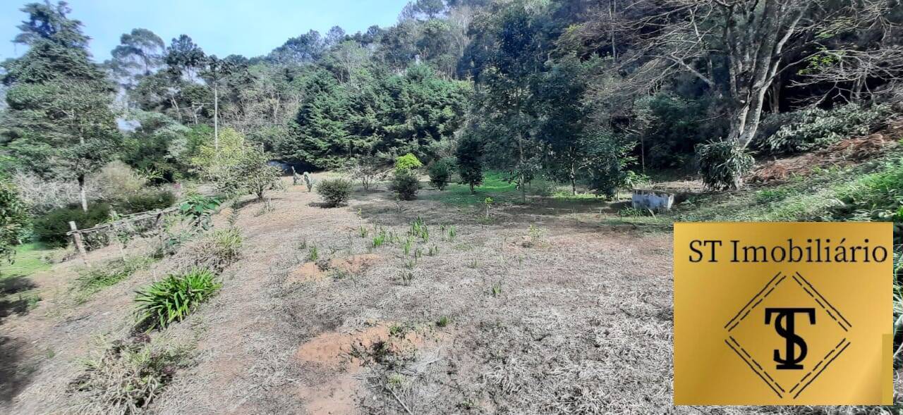 Fazenda à venda com 6 quartos, 4300m² - Foto 22