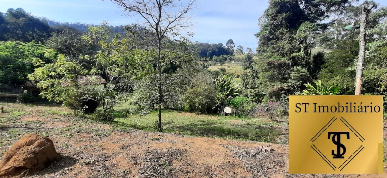 Fazenda à venda com 6 quartos, 4300m² - Foto 28