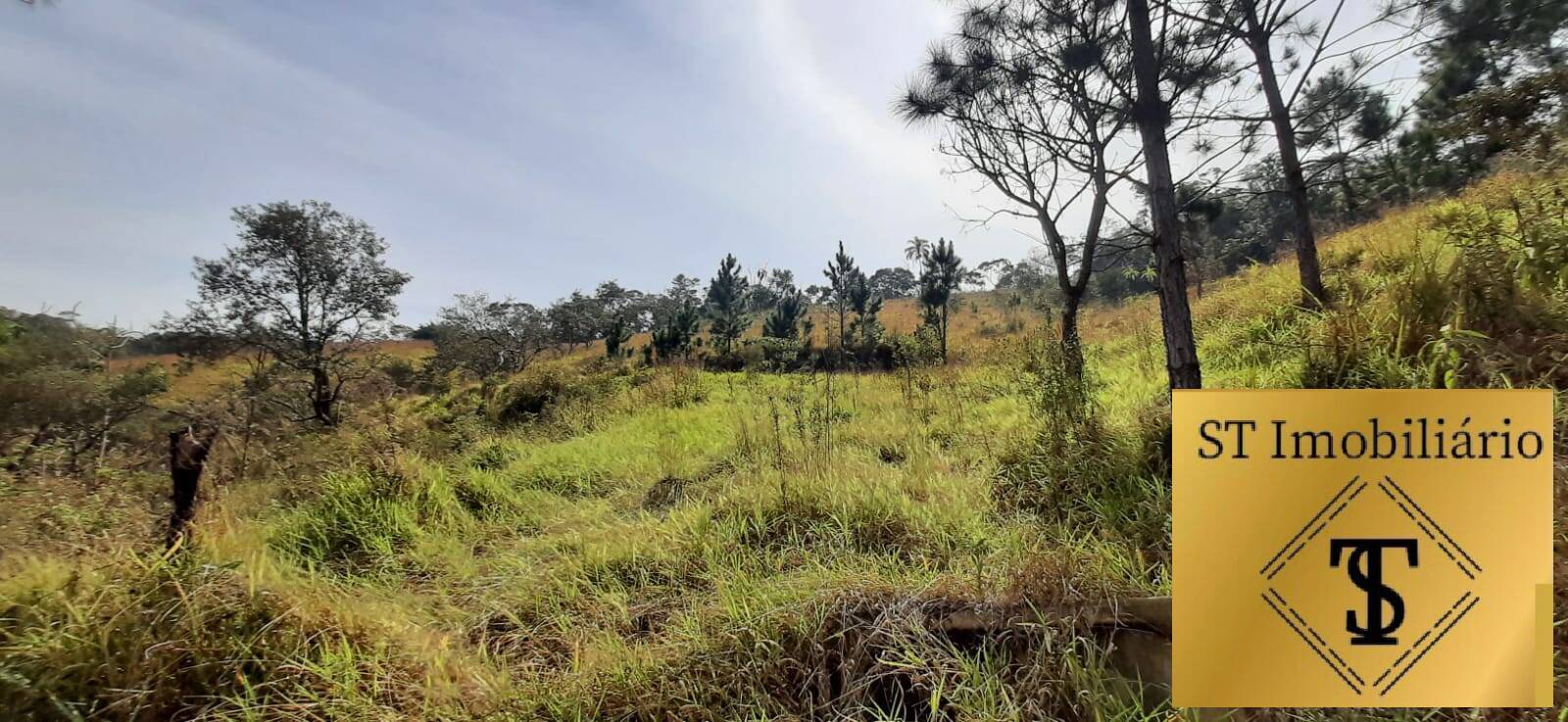 Fazenda à venda com 3 quartos, 72000m² - Foto 3