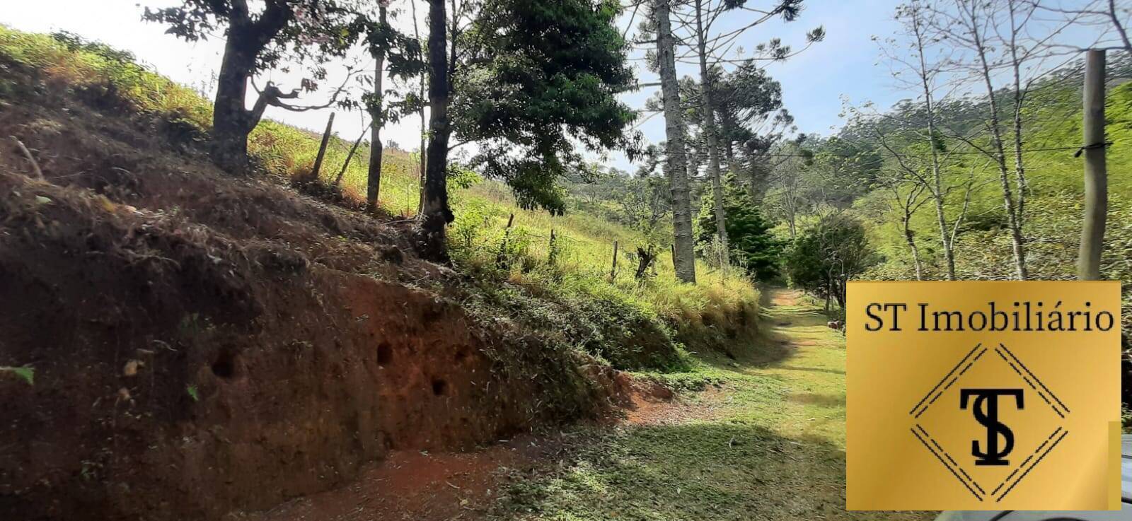 Fazenda à venda com 3 quartos, 72000m² - Foto 1