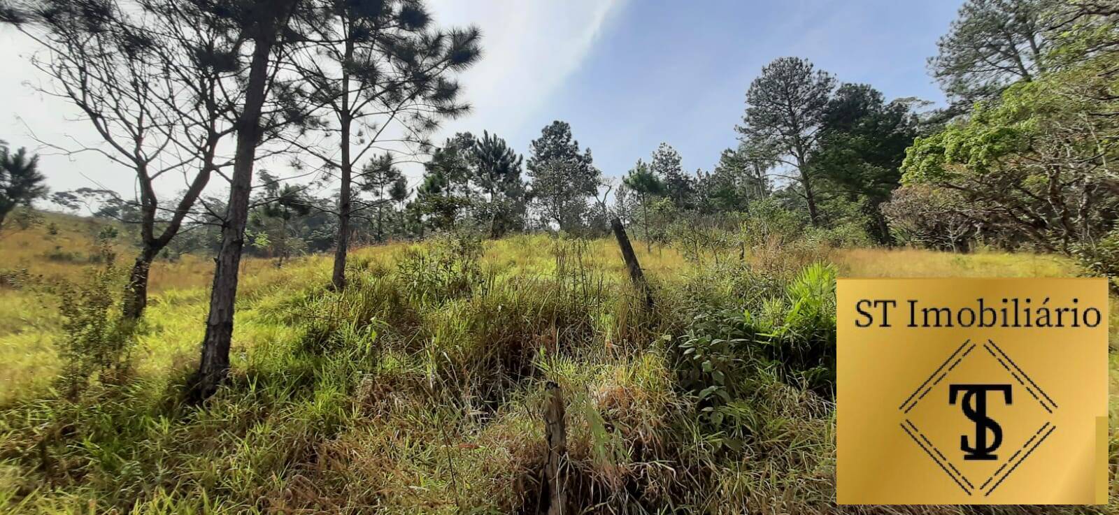 Fazenda à venda com 3 quartos, 72000m² - Foto 8