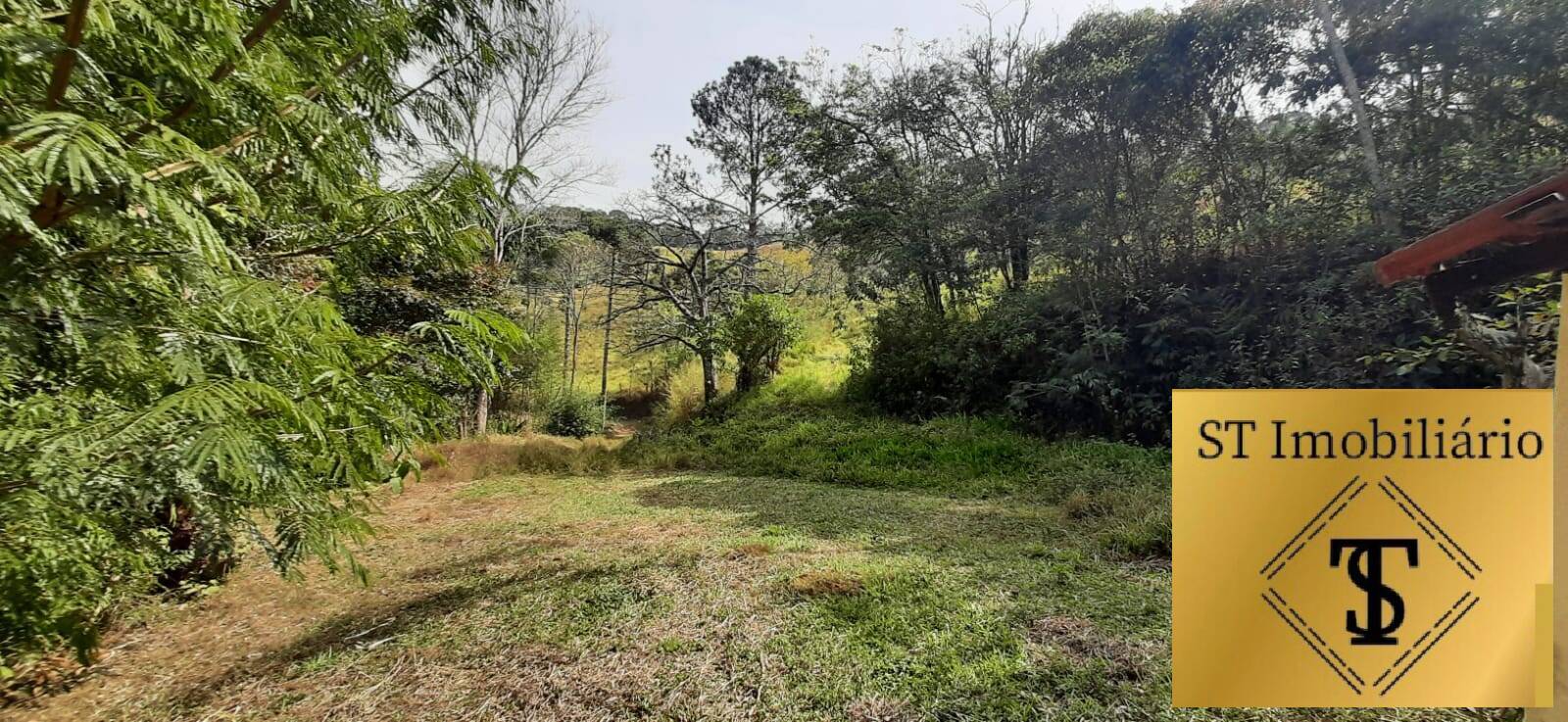 Fazenda à venda com 3 quartos, 72000m² - Foto 11