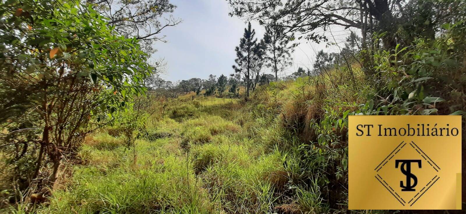 Fazenda à venda com 3 quartos, 72000m² - Foto 12