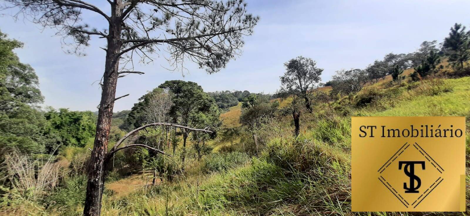 Fazenda à venda com 3 quartos, 72000m² - Foto 13