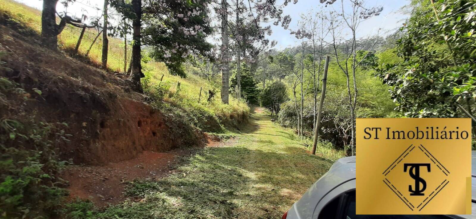 Fazenda à venda com 3 quartos, 72000m² - Foto 14