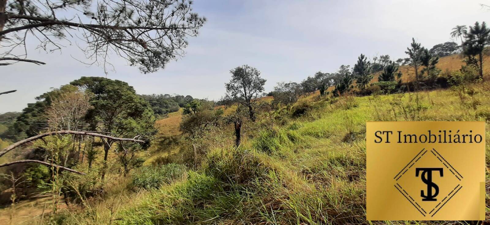 Fazenda à venda com 3 quartos, 72000m² - Foto 15