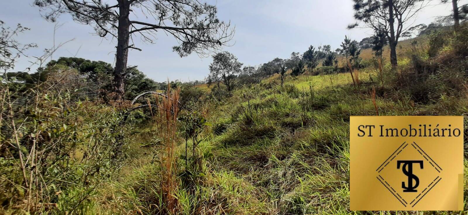 Fazenda à venda com 3 quartos, 72000m² - Foto 16