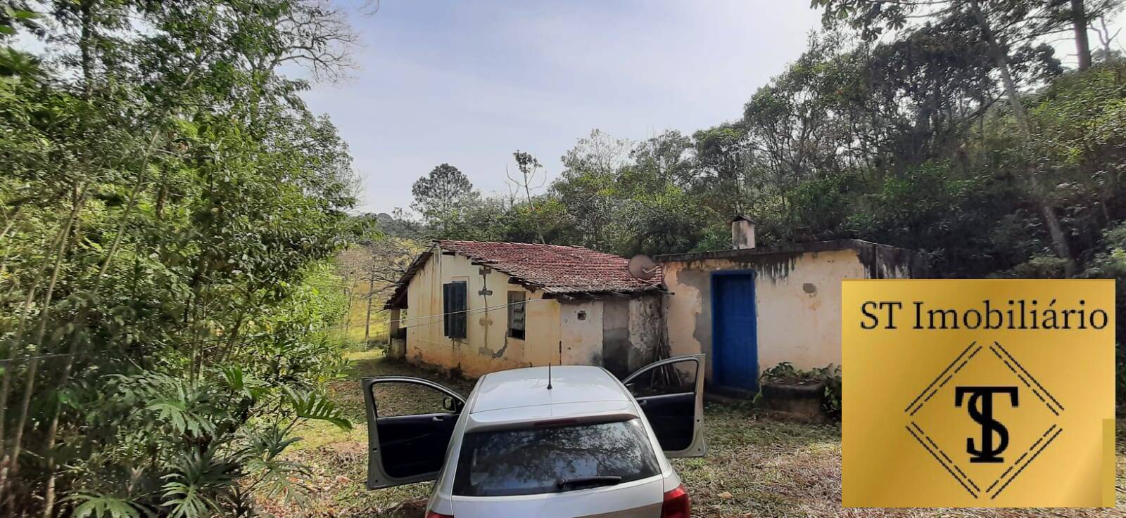 Fazenda à venda com 3 quartos, 72000m² - Foto 2