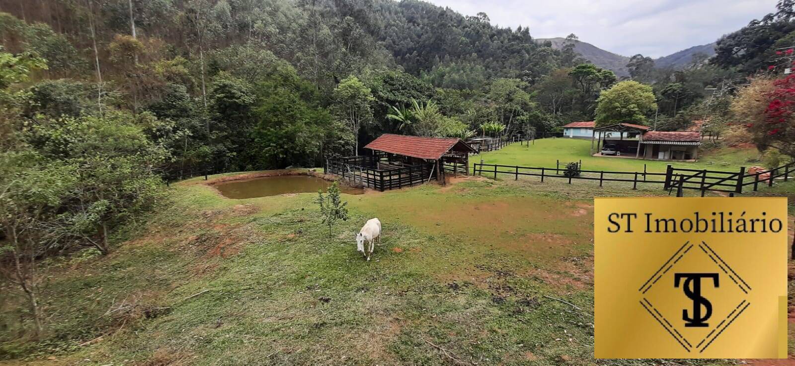 Fazenda à venda com 3 quartos, 37000m² - Foto 1