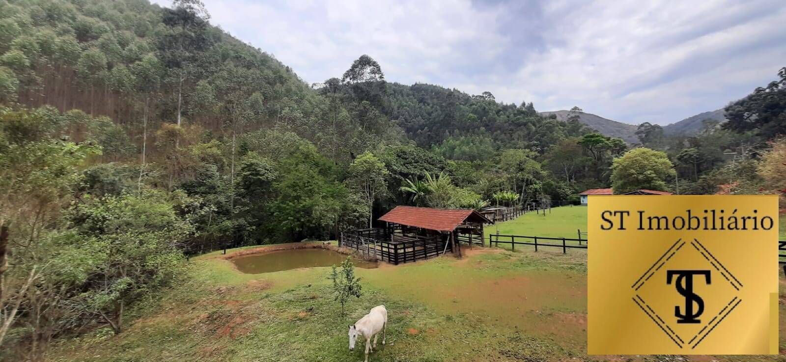 Fazenda à venda com 3 quartos, 37000m² - Foto 3