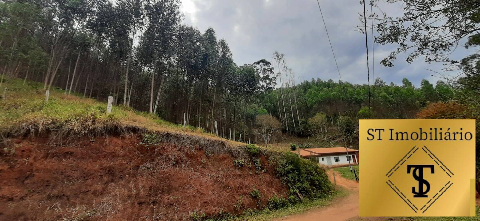 Fazenda à venda com 3 quartos, 37000m² - Foto 4