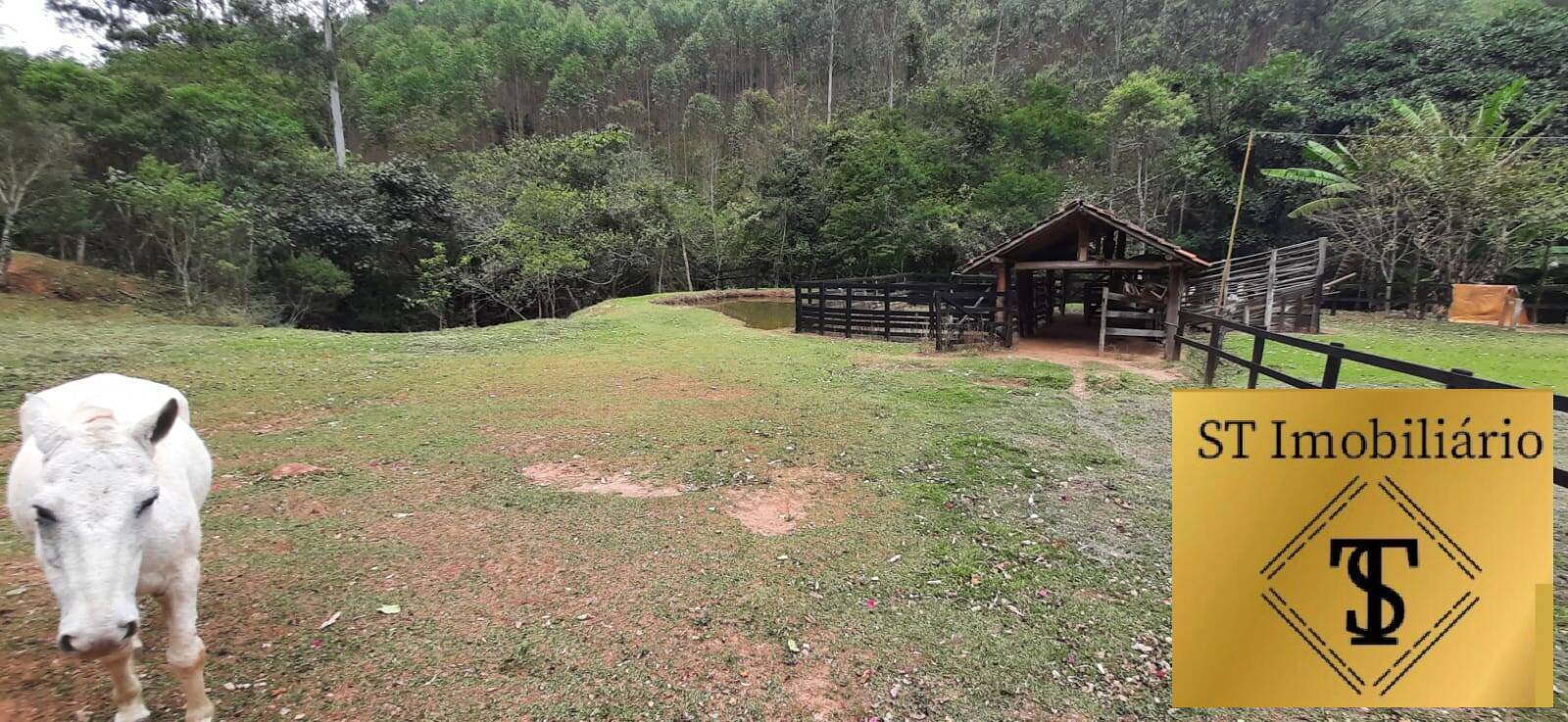 Fazenda à venda com 3 quartos, 37000m² - Foto 5