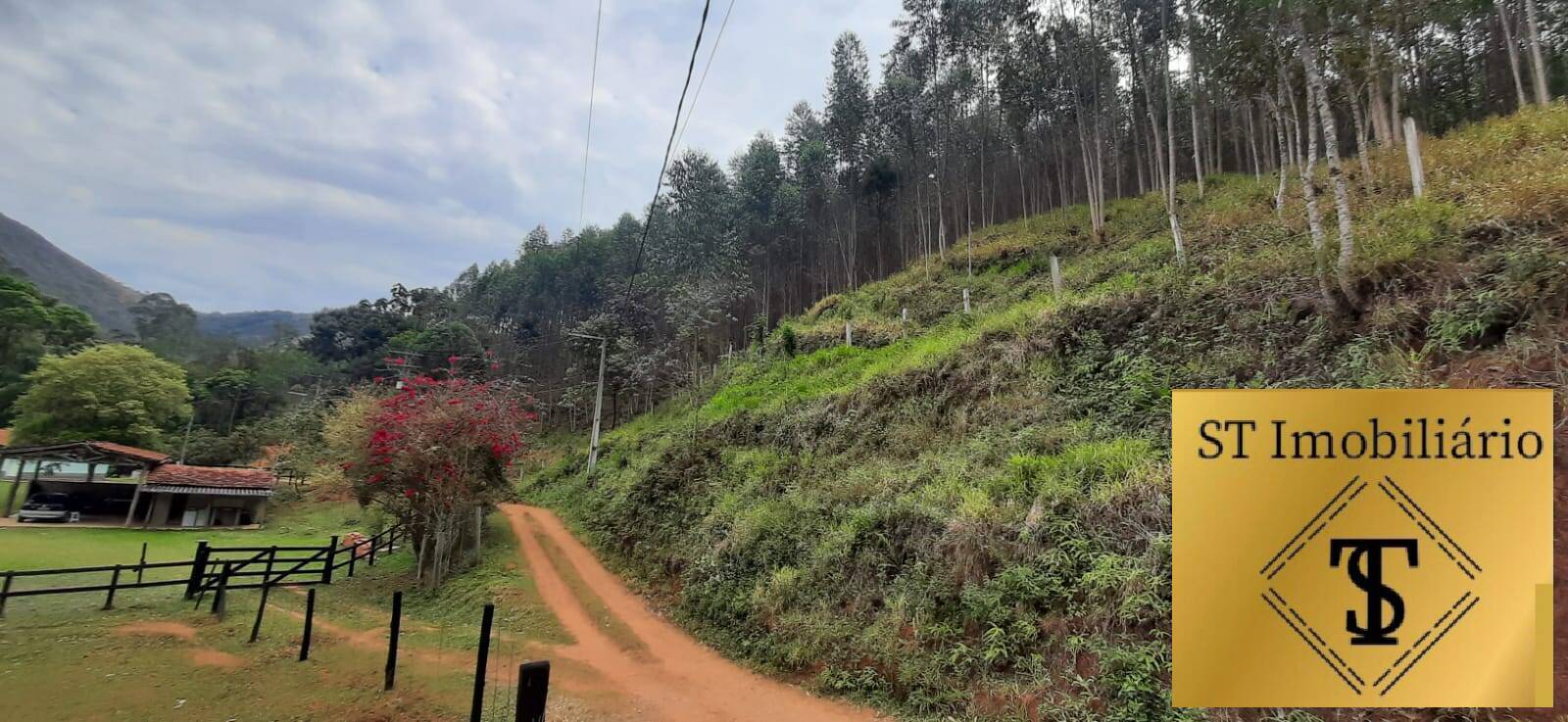 Fazenda à venda com 3 quartos, 37000m² - Foto 7