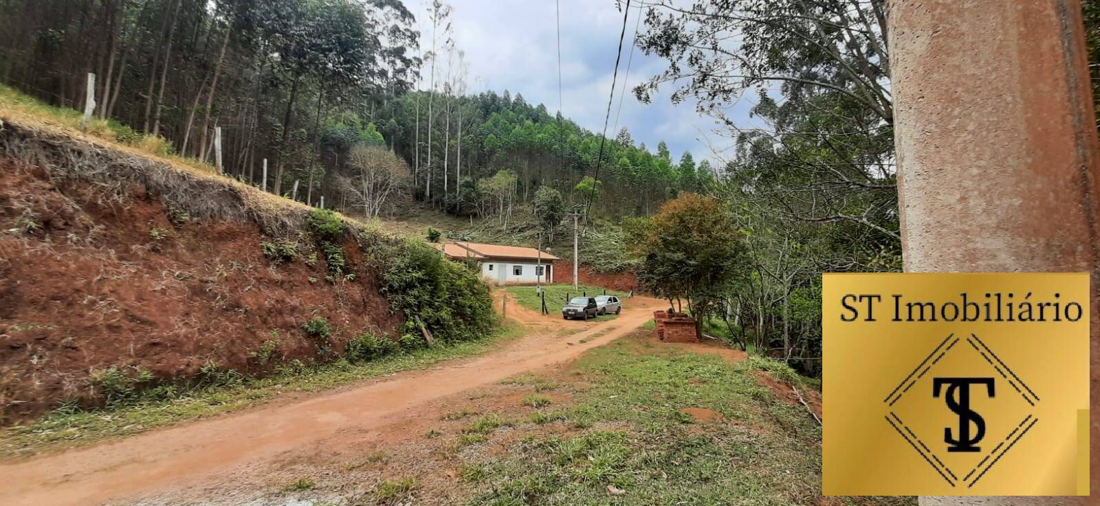 Fazenda à venda com 3 quartos, 37000m² - Foto 9