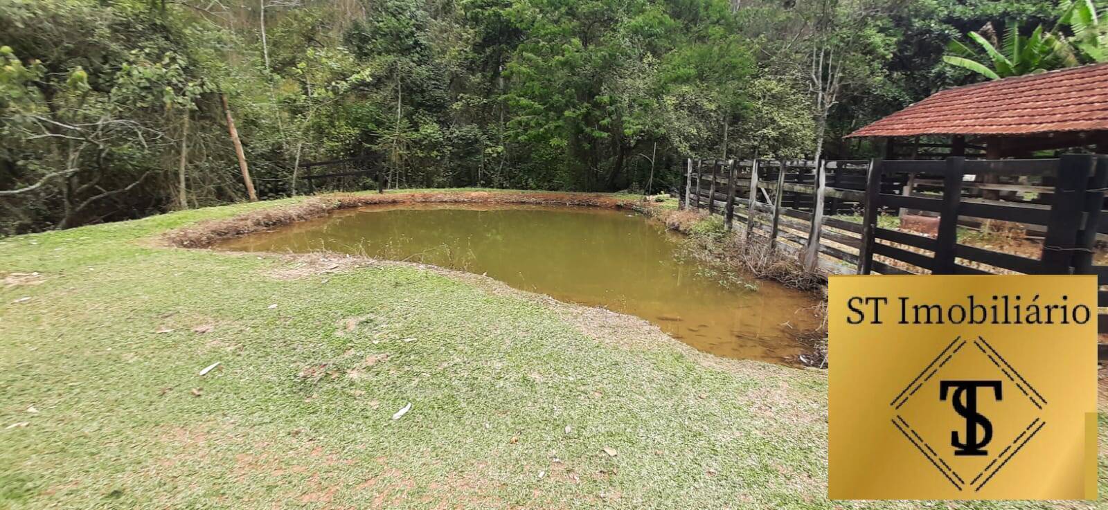 Fazenda à venda com 3 quartos, 37000m² - Foto 6