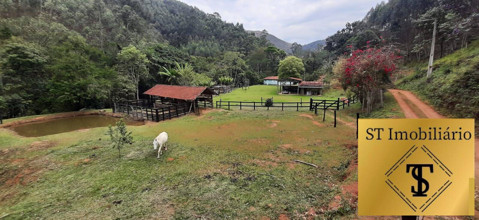 Fazenda à venda com 3 quartos, 37000m² - Foto 11