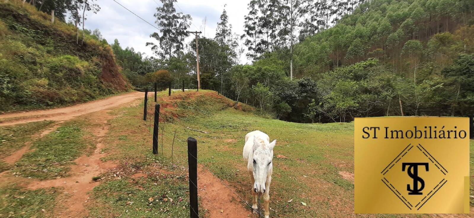 Fazenda à venda com 3 quartos, 37000m² - Foto 12